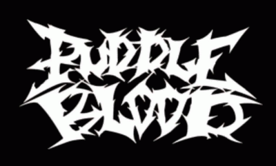 logo Puddle Blood
